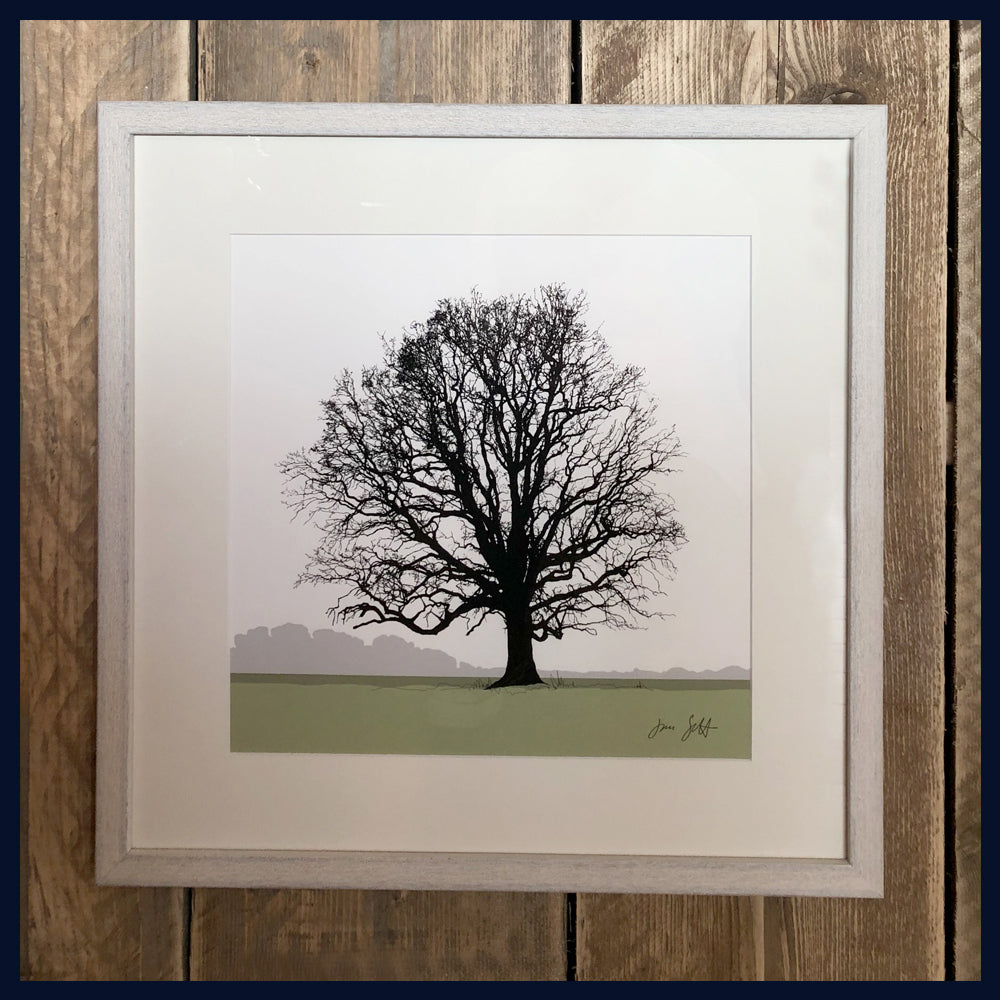 Oak tree, Blickling, Norfolk. Framed fine art print hy Jac Scott.