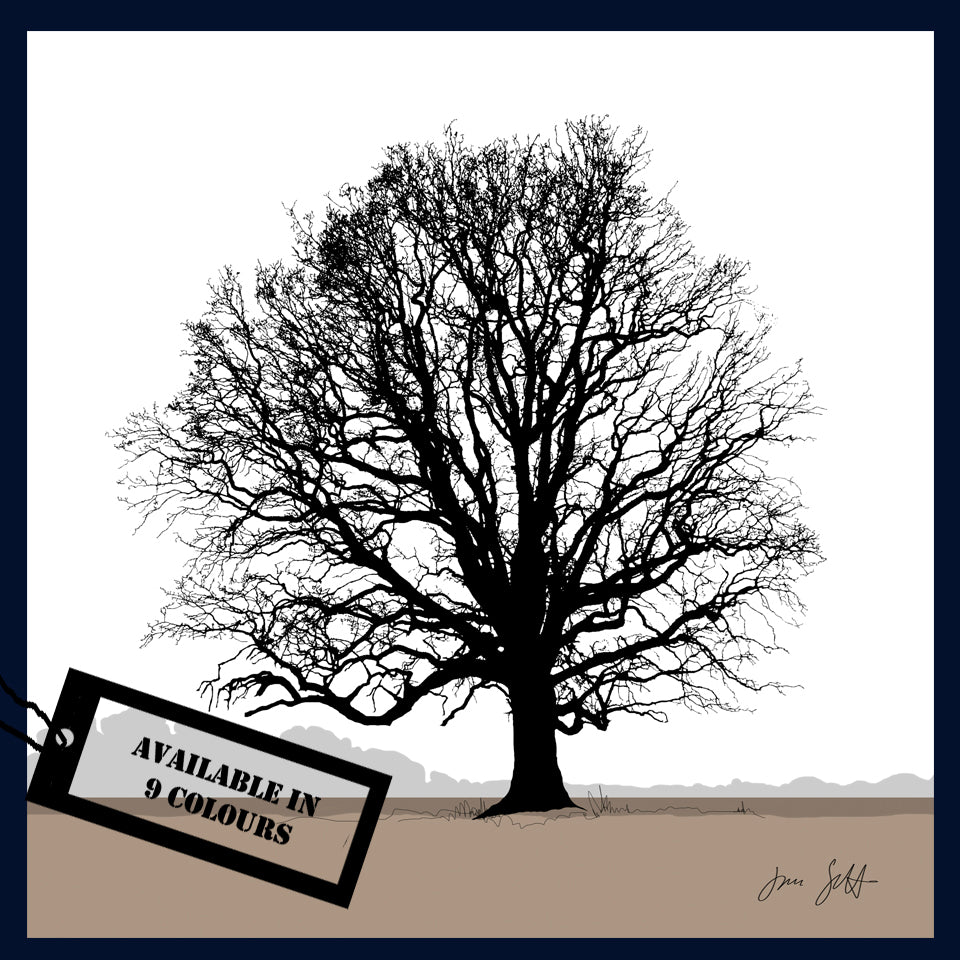 Oak tree, Blickling, Norfolk. Framed fine art print hy Jac Scott.