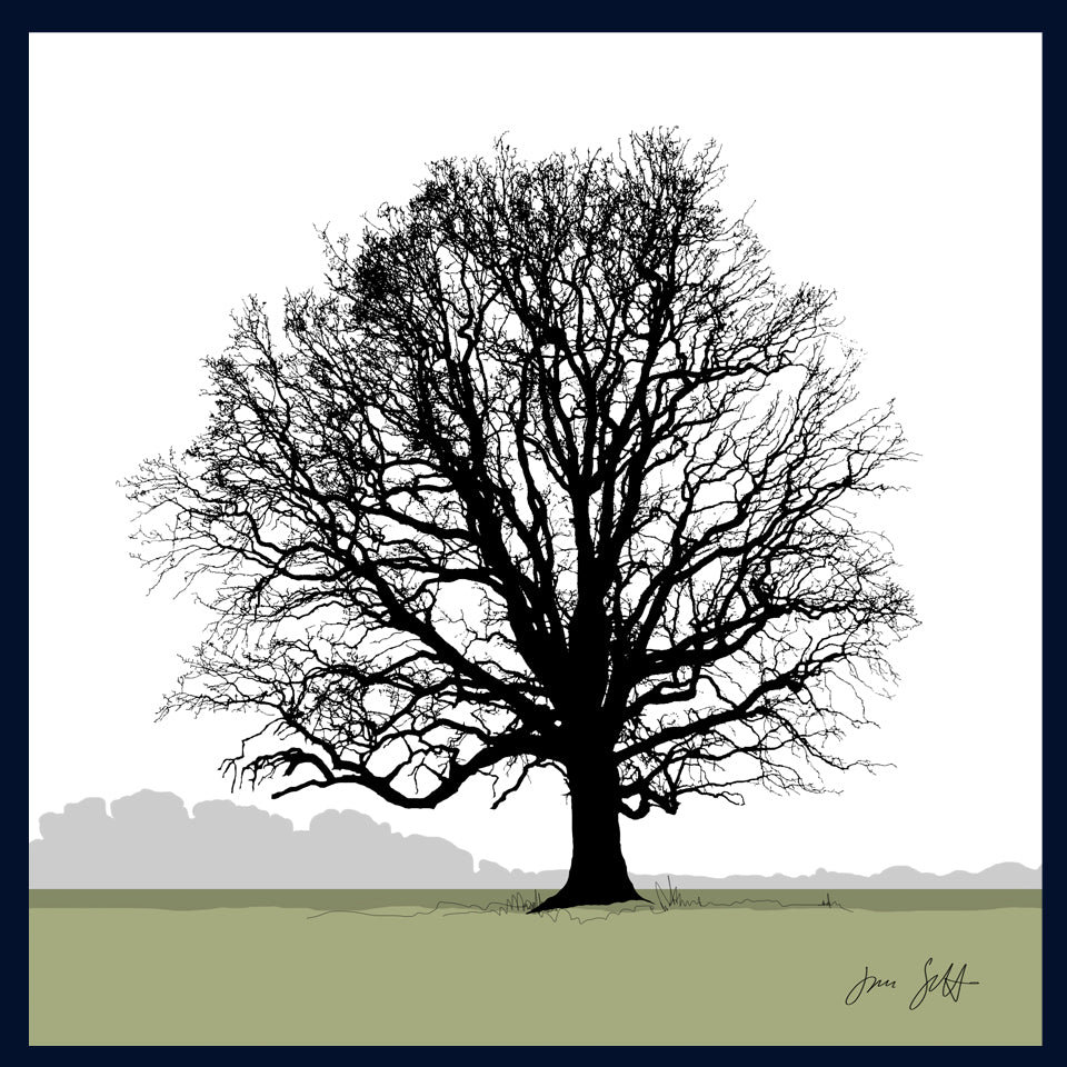 Oak tree, Blickling, Norfolk. Framed fine art print hy Jac Scott.