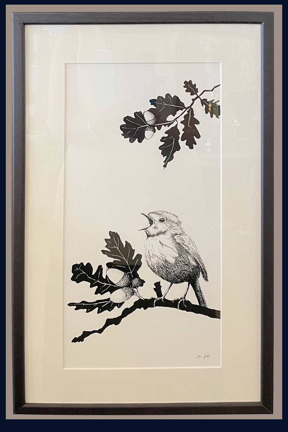 Robin on Oak Norfolk framed fine art print by Jac Scott