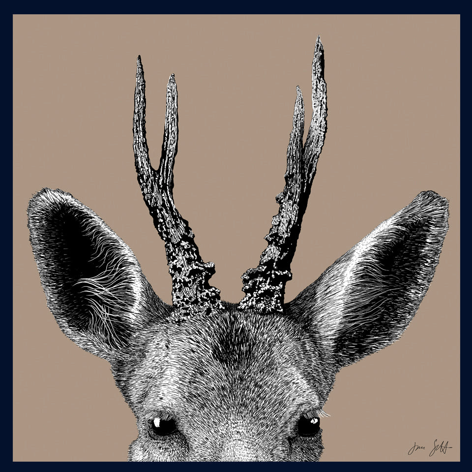 Roe Deer Norfolk limited edition framed fine art print by Jac Scott