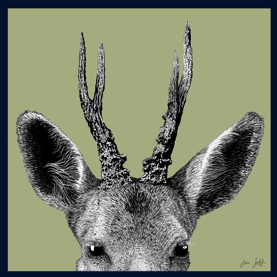 Roe Deer: Running Wild Collection Fine Art Print - available in 10 colours