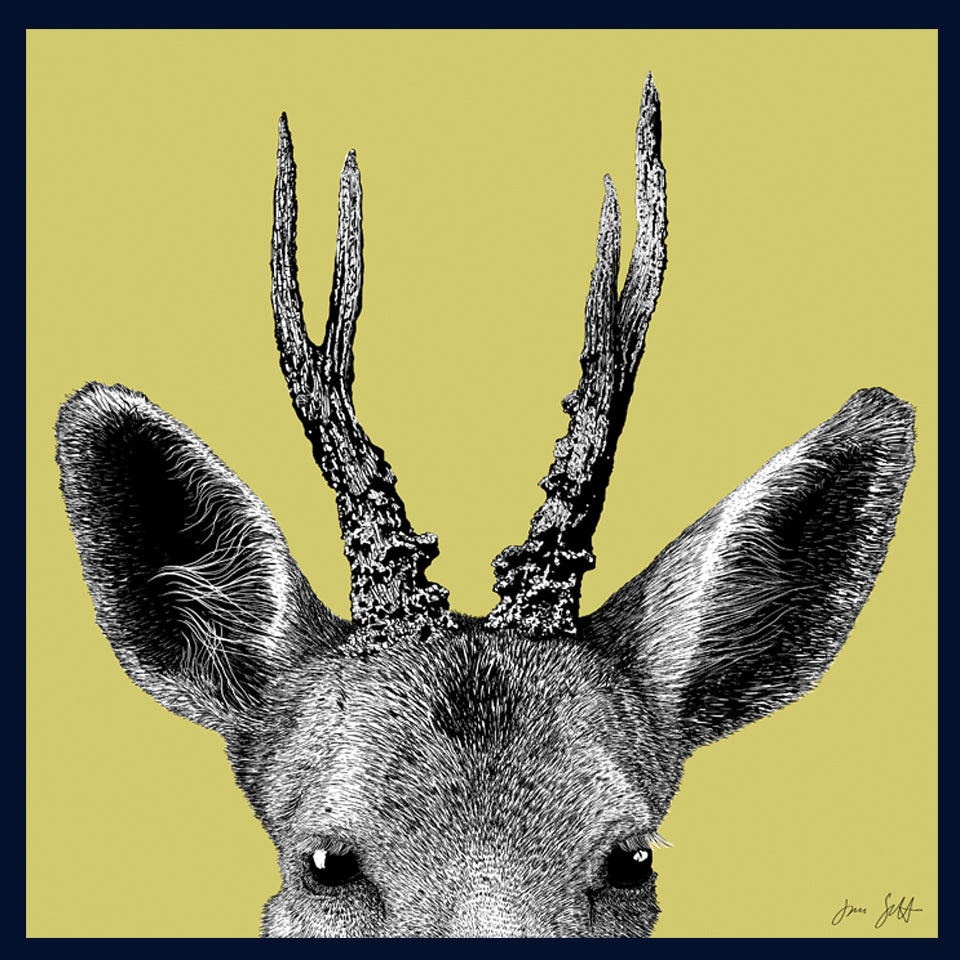 Roe Deer Norfolk limited edition framed fine art print by Jac Scott