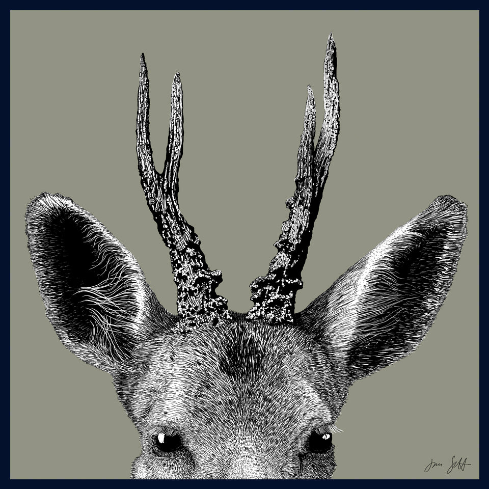 Roe Deer Norfolk limited edition framed fine art print by Jac Scott