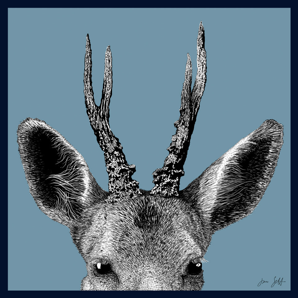 Roe Deer Norfolk limited edition framed fine art print by Jac Scott
