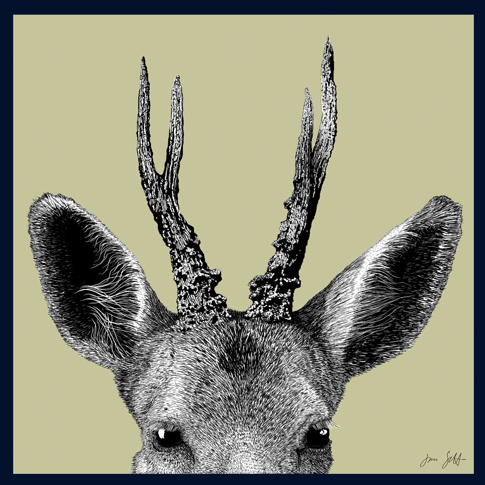 Roe Deer Norfolk limited edition framed fine art print by Jac Scott