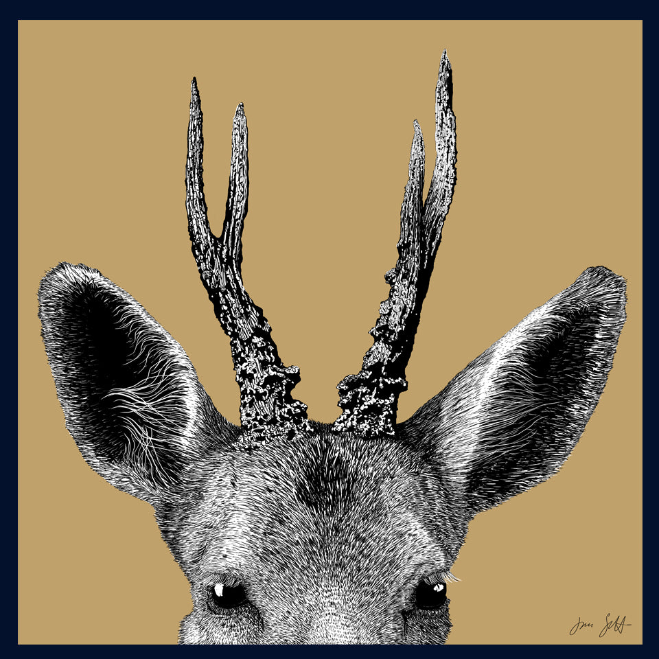 Roe Deer Norfolk limited edition framed fine art print by Jac Scott