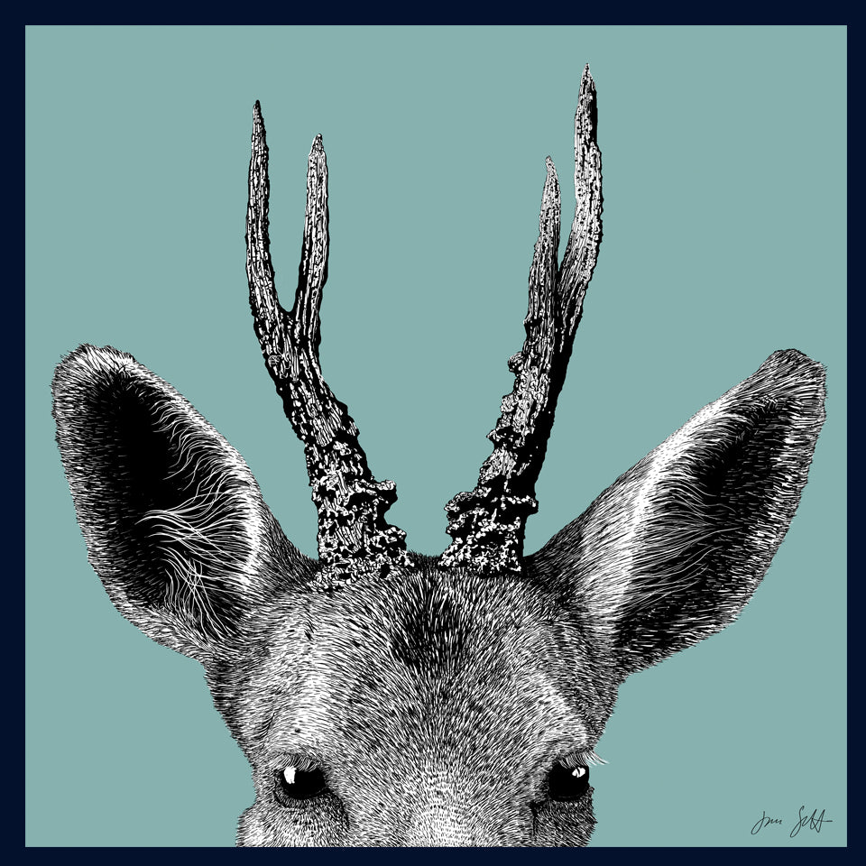 Roe Deer Norfolk limited edition framed fine art print by Jac Scott