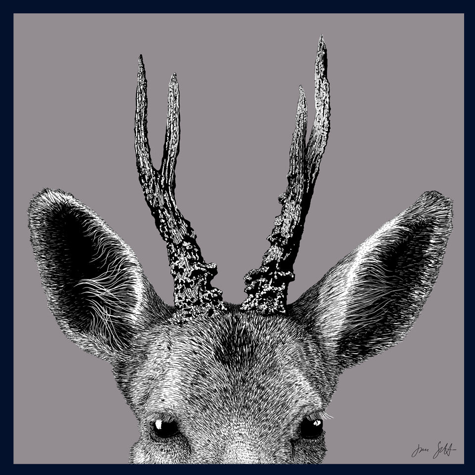 Roe Deer Norfolk limited edition framed fine art print by Jac Scott