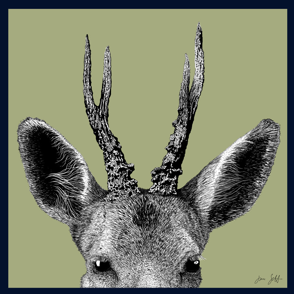 Roe Deer Norfolk limited edition framed fine art print by Jac Scott