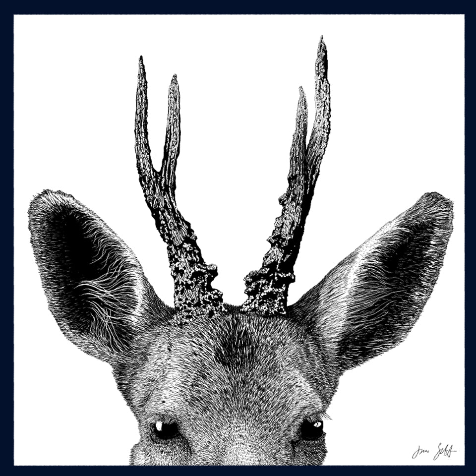 Framed Roe Deer: Running Wild Collection Fine Art Print - available in 10 colours