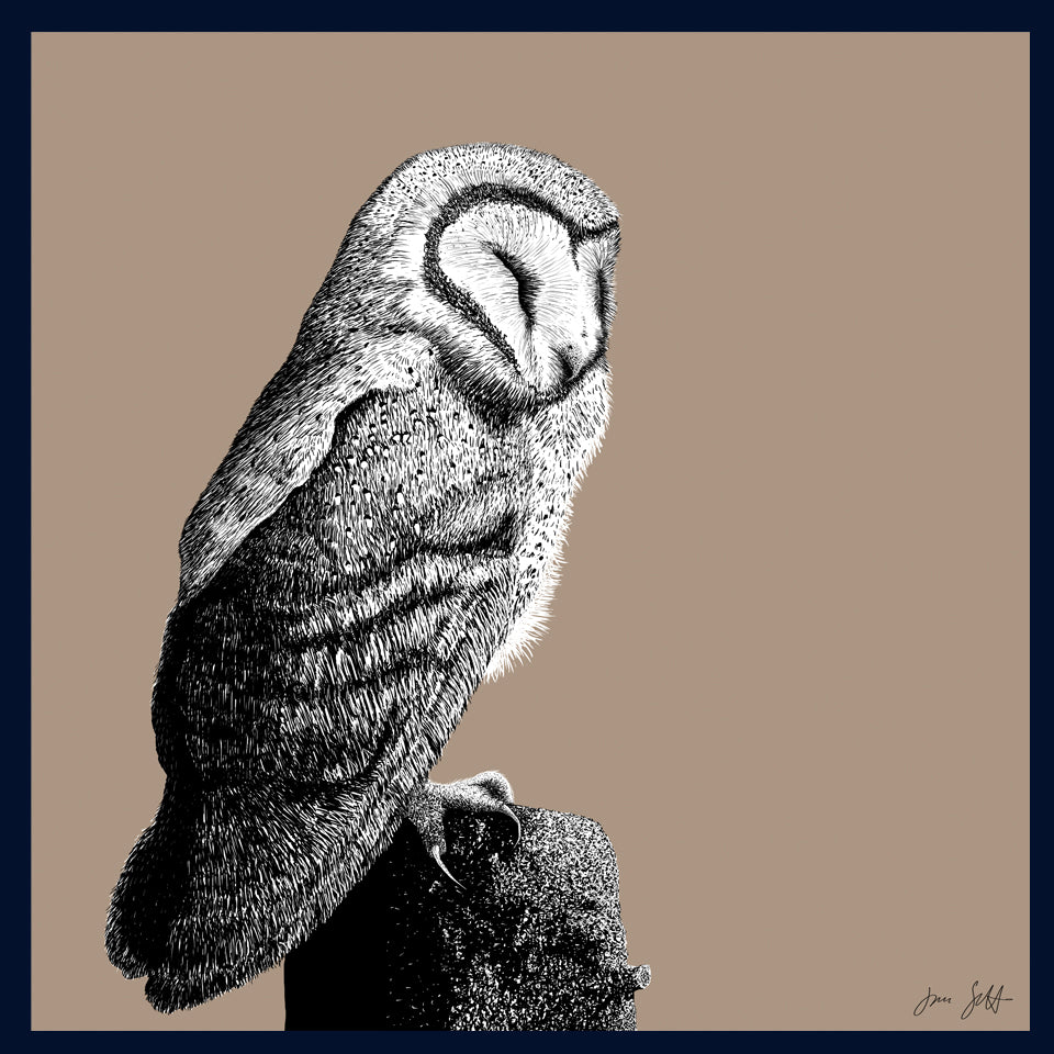 Roost 2 Owl fine art print by Jac Scott