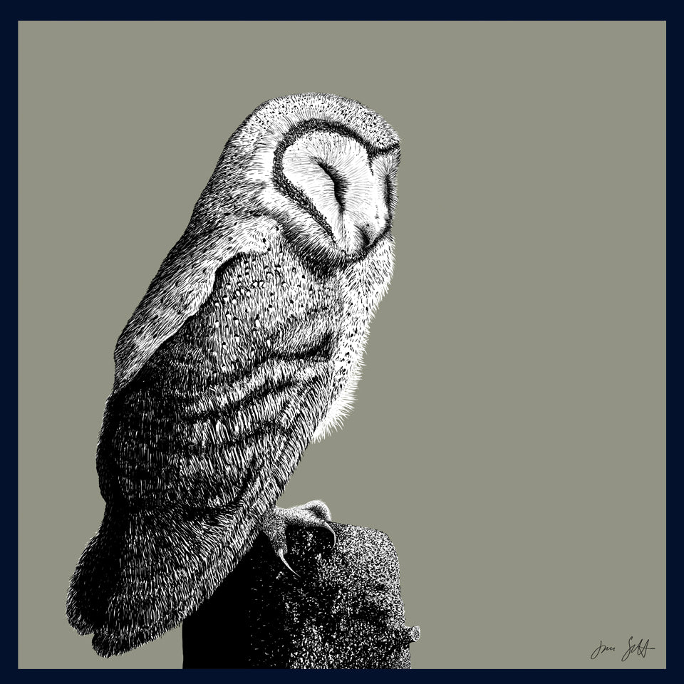 Roost 2 Owl fine art print by Jac Scott