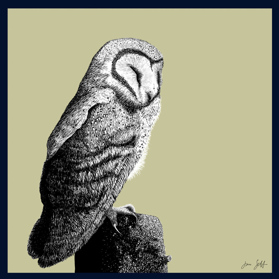 Roost 2 Owl fine art print by Jac Scott