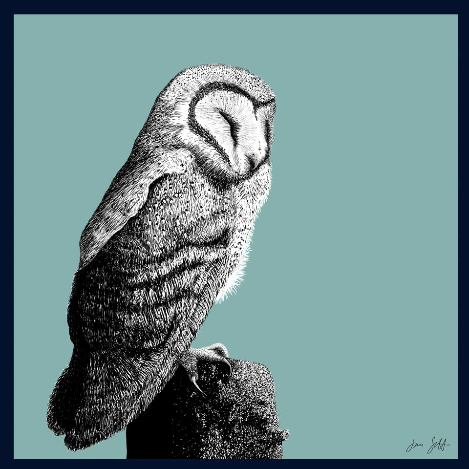 Roost 2 Owl fine art print by Jac Scott