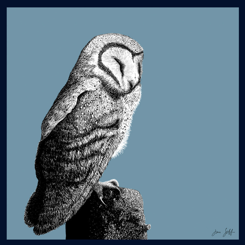 Roost 2 Owl fine art print by Jac Scott