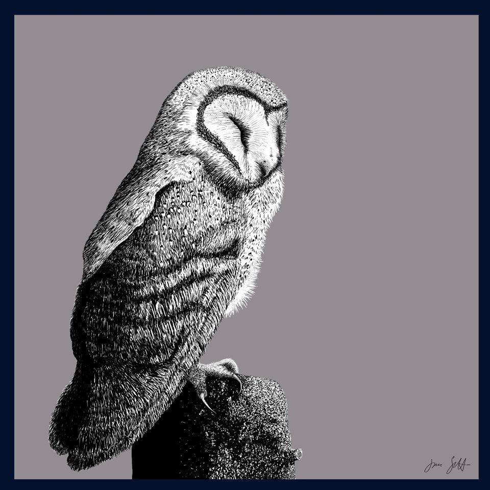 Roost 2 Owl fine art print by Jac Scott