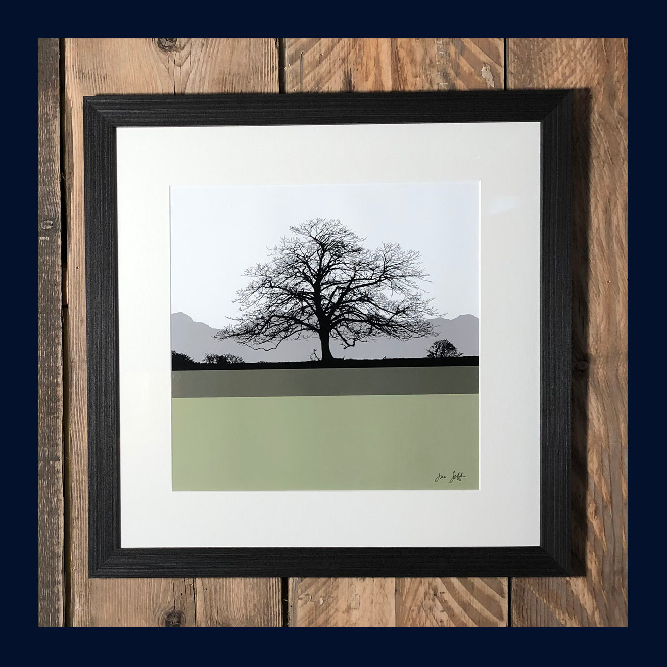Sycamore, Felbrigg Hall, Norfolk.Framed fine art print by Jac Scott.