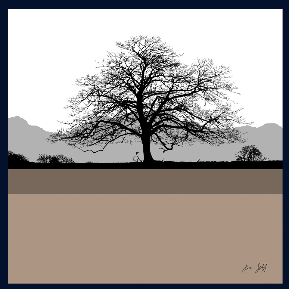 Sycamore, Felbrigg Hall, Norfolk.Framed fine art print by Jac Scott.
