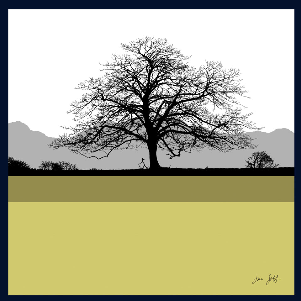 Sycamore, Felbrigg Hall, Norfolk.Framed fine art print by Jac Scott.