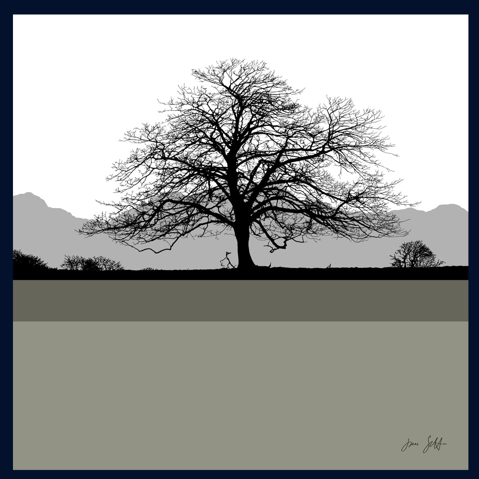 Sycamore, Felbrigg Hall, Norfolk.Framed fine art print by Jac Scott.