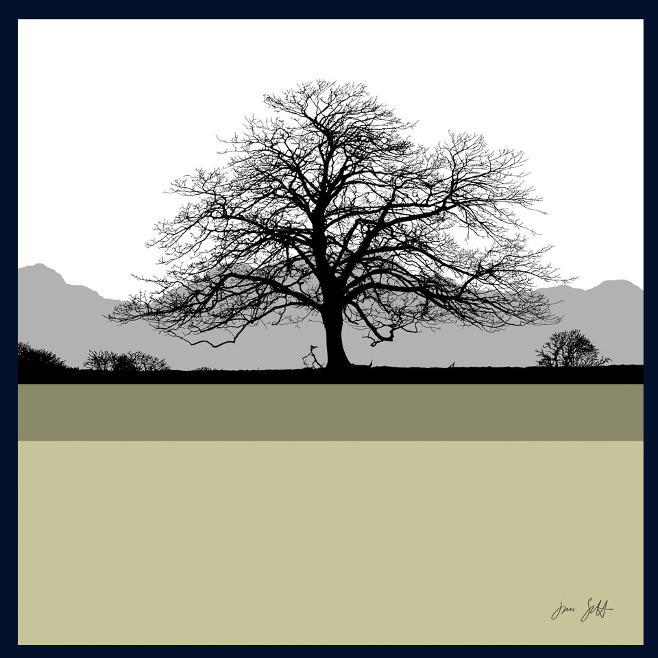 Sycamore, Felbrigg Hall, Norfolk.Framed fine art print by Jac Scott.