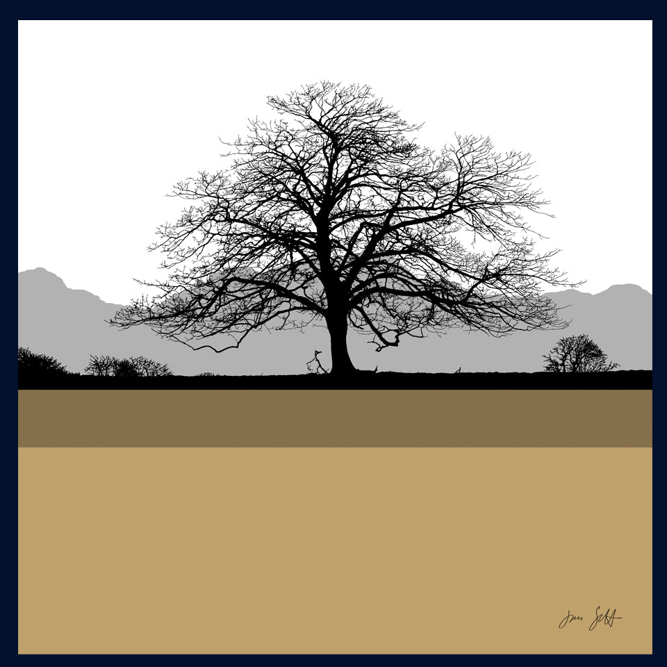 Sycamore, Felbrigg Hall, Norfolk.Framed fine art print by Jac Scott.
