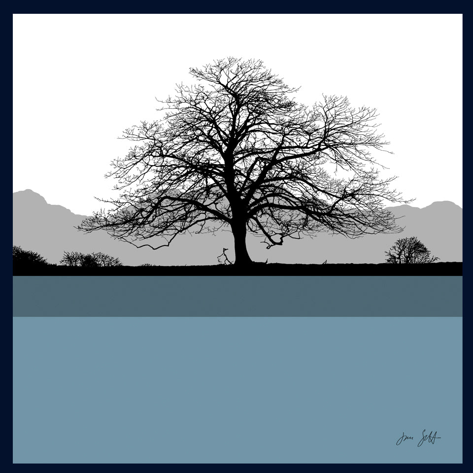 Sycamore, Felbrigg Hall, Norfolk.Framed fine art print by Jac Scott.