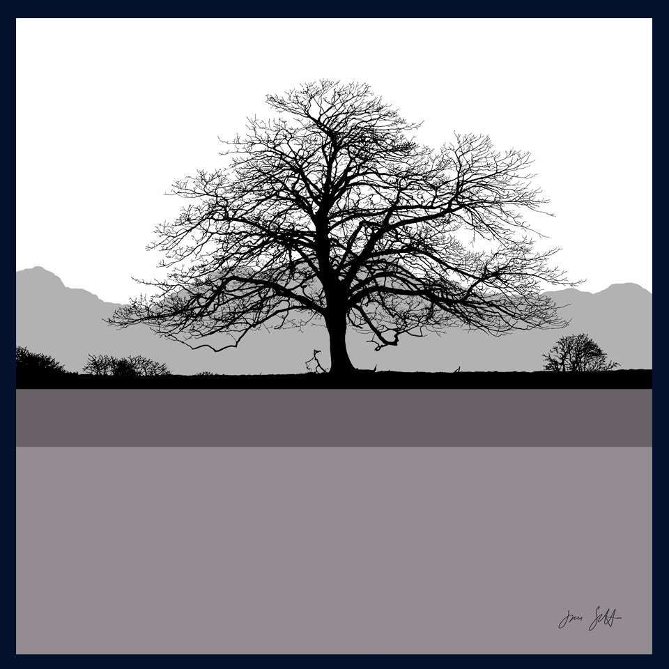Sycamore, Felbrigg Hall, Norfolk.Framed fine art print by Jac Scott.