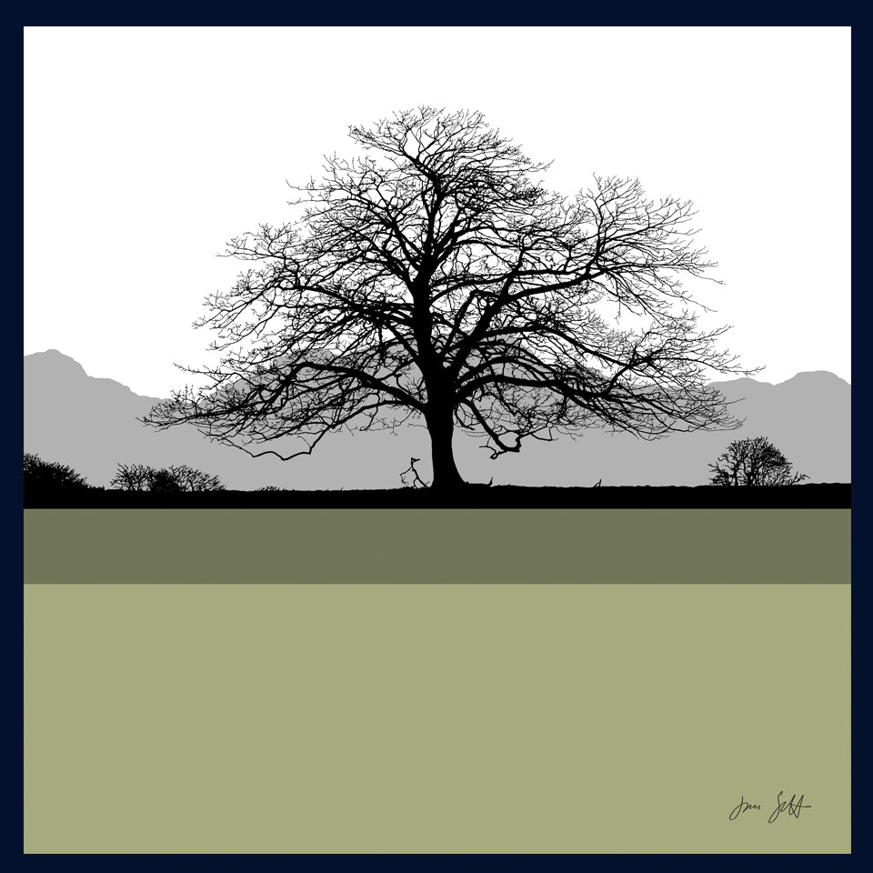 Framed Sycamore, Felbrigg Hall, Norfolk. Arboretum Colour Block Fine Art Print - 9 colours available