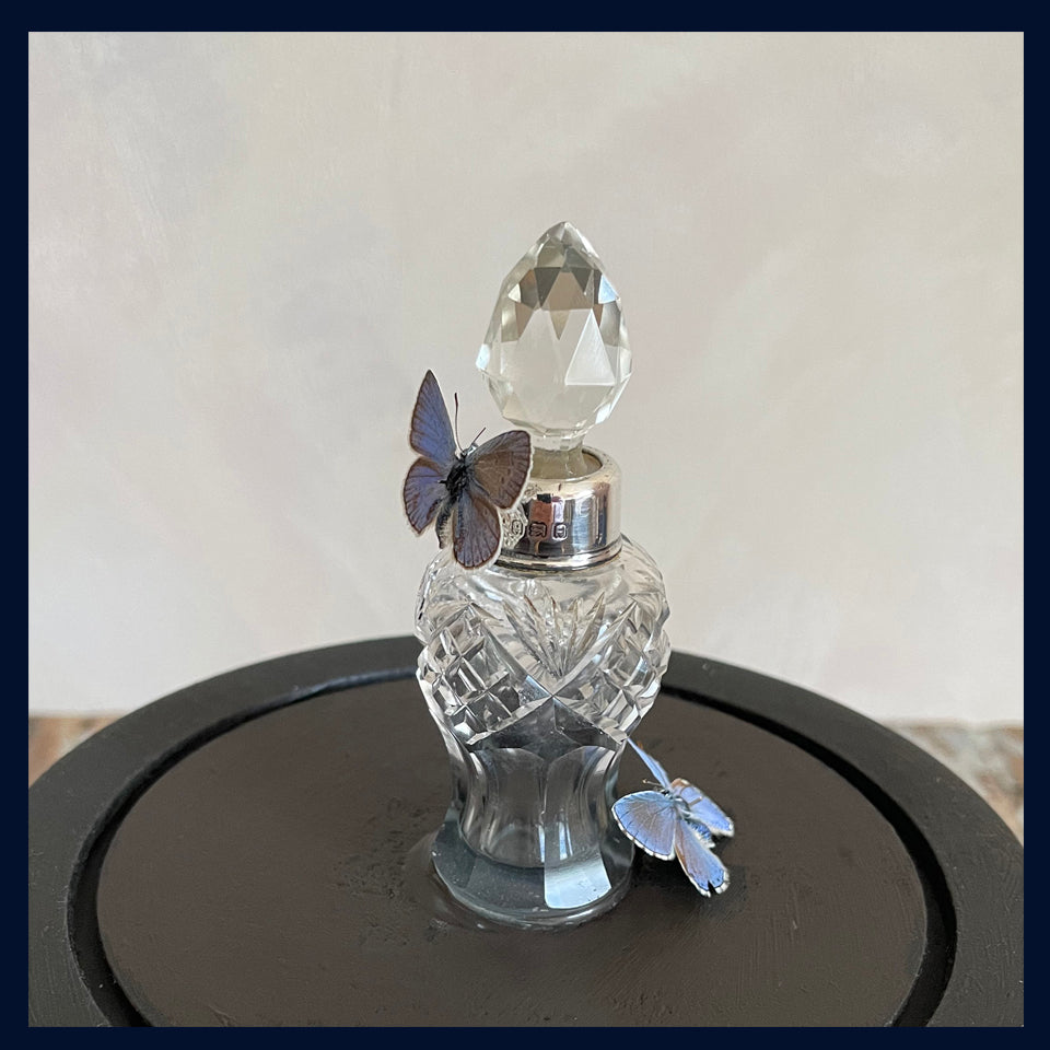 SOLD Enigma Variations Collection: A Victorian, Silver Topped Smelling Salts Crystal Bottle with 2 Vintage Blue Butterflies in a Display Dome