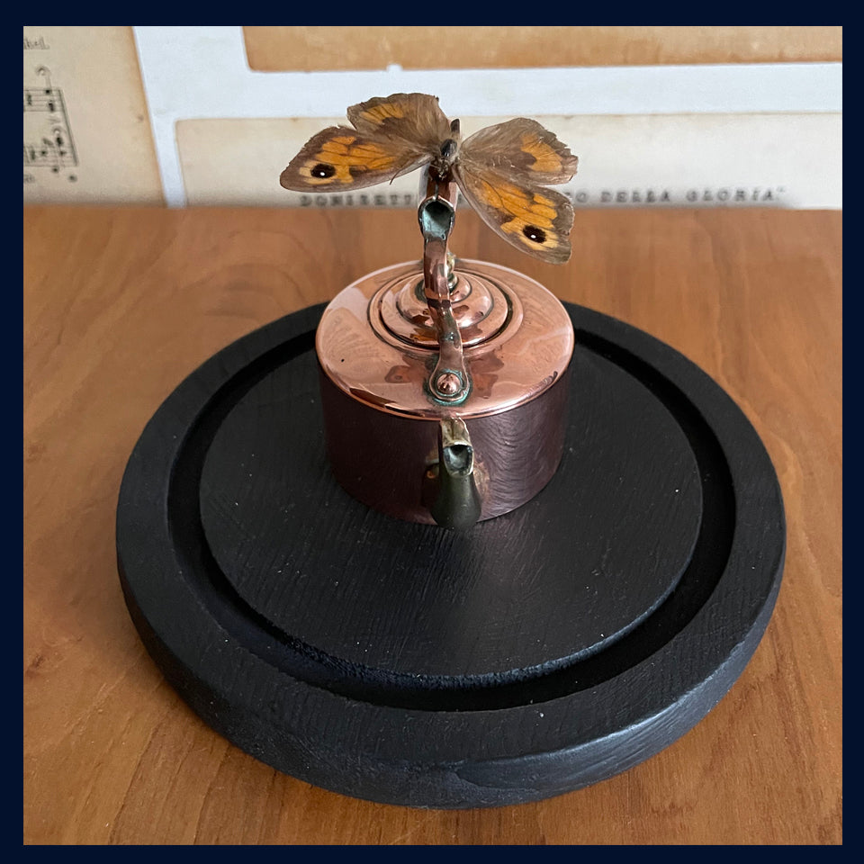 Enigma Variations Collection: Vintage Miniature Copper & Brass Kettle with a Butterfly in a Display Dome