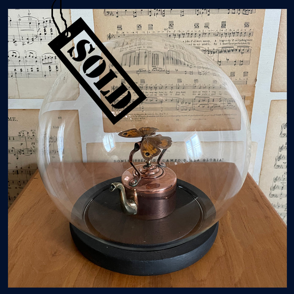 Enigma Variations Collection: Vintage Miniature Copper & Brass Kettle with a Butterfly in a Display Dome